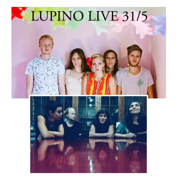 Lupino live 31 5